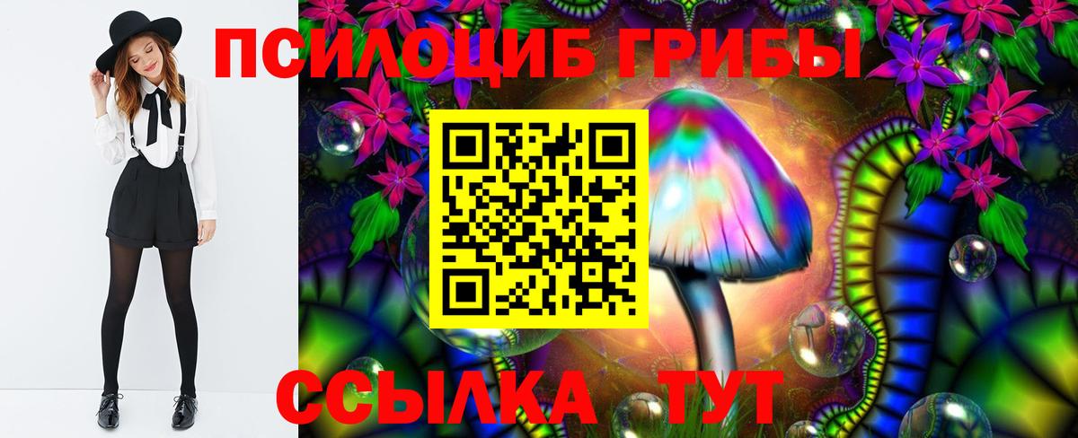 Богородицк  Галлюциногенные грибы GOLDEN TEACHER  Вход с VPN  Галлюциногенные грибы ЛСД 